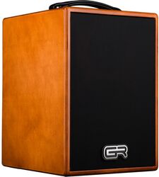 Combo amplificador acústico Gr bass WD Acoustic 8