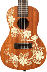 Ukulele Kala Gardenia Mahogany Concert Ukulele - natural satin